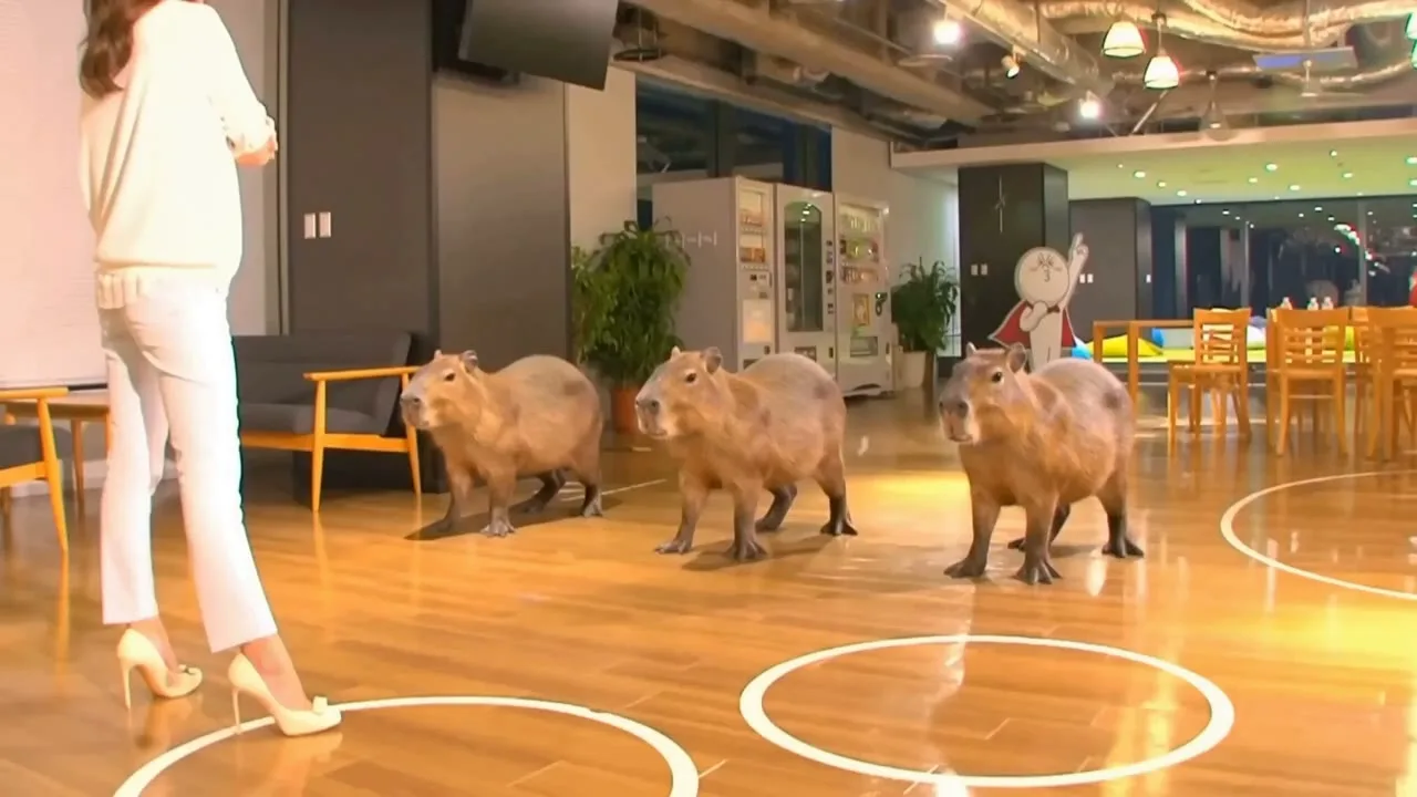 Three capybaras standing in an office lobby